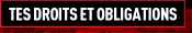 Tes droits et obligations