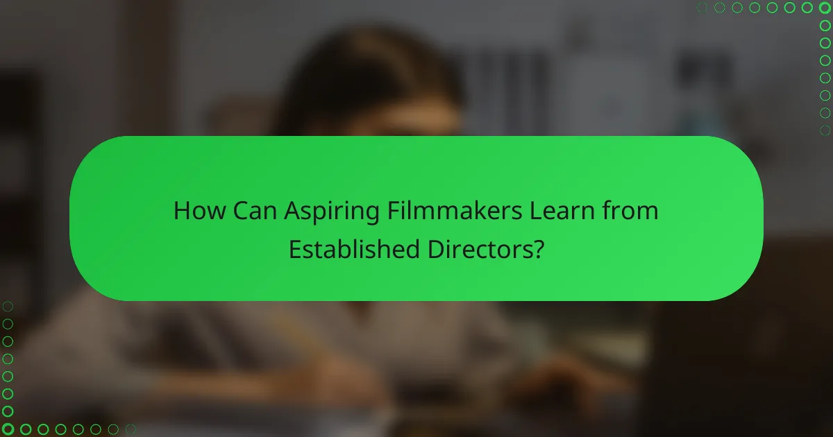 How Can Aspiring Filmmakers Learn from Established Directors?